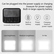 Smart LED Cosmetic Case with Mirror Travel Makeup Bag Large Capacity Cosmetic Bag Luxury Simple Makeup Bags for Women Skincare