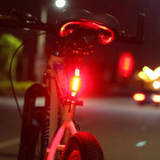 Bike Bicycle Light LED Taillight
